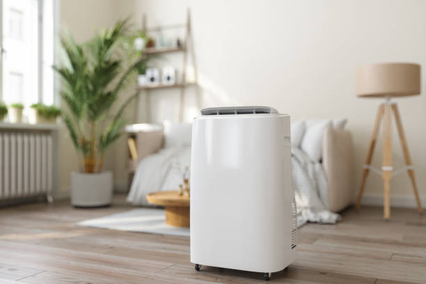 Best Ductless Mini-Split Systems in Erwinville, LA